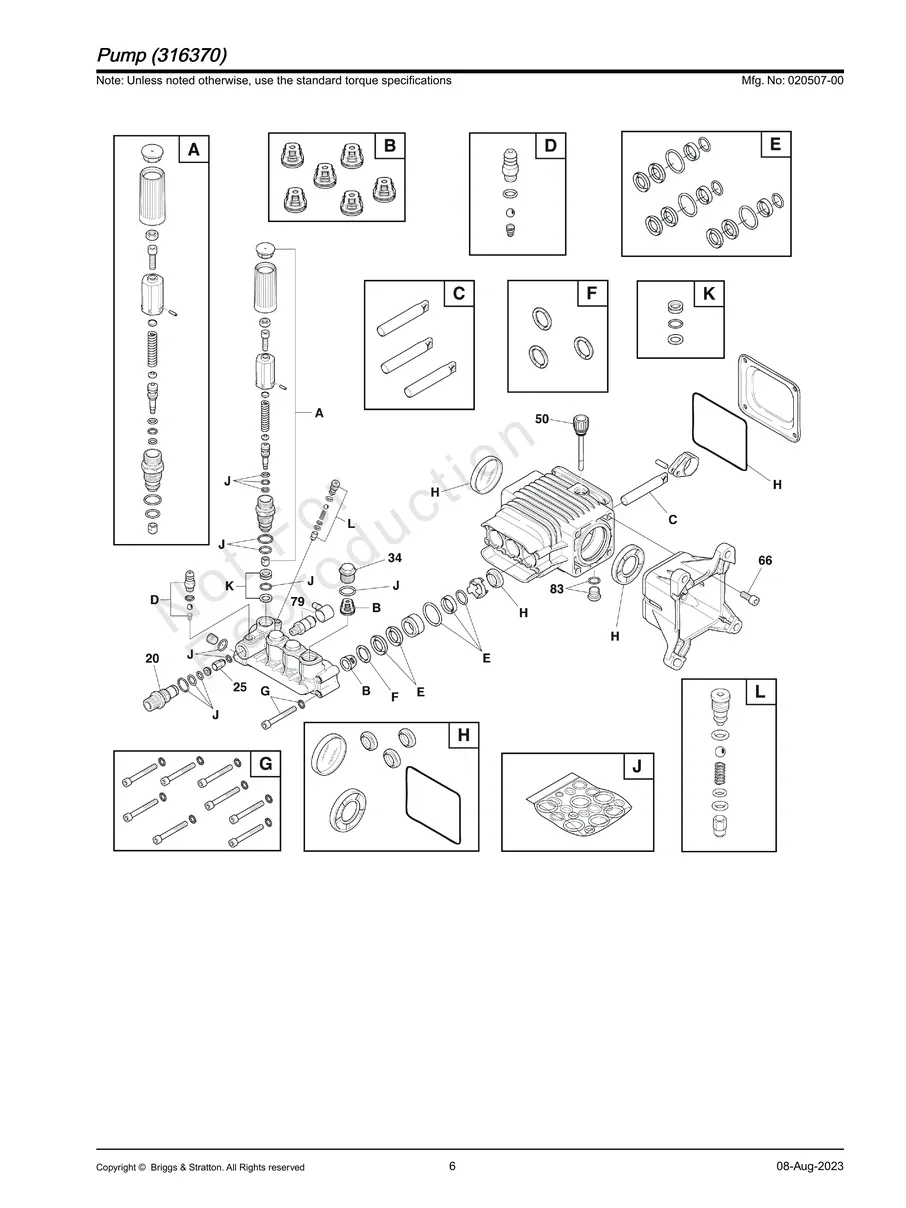 BRIGGS AND STRATTON, 020507-00, IPL.6